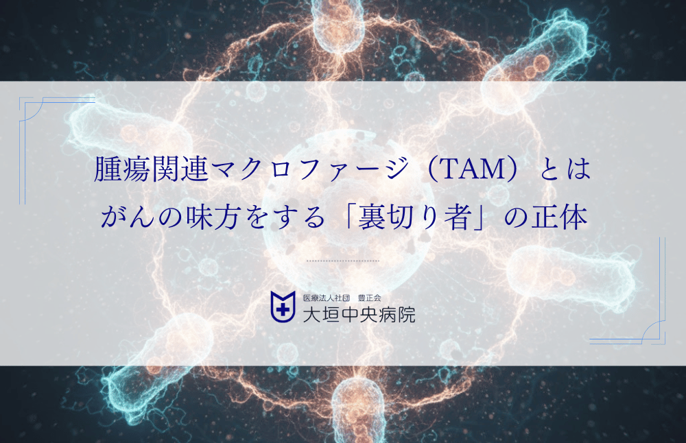 腫瘍関連マクロファージ（TAM）とは｜がんの味方をする「裏切り者」の正体