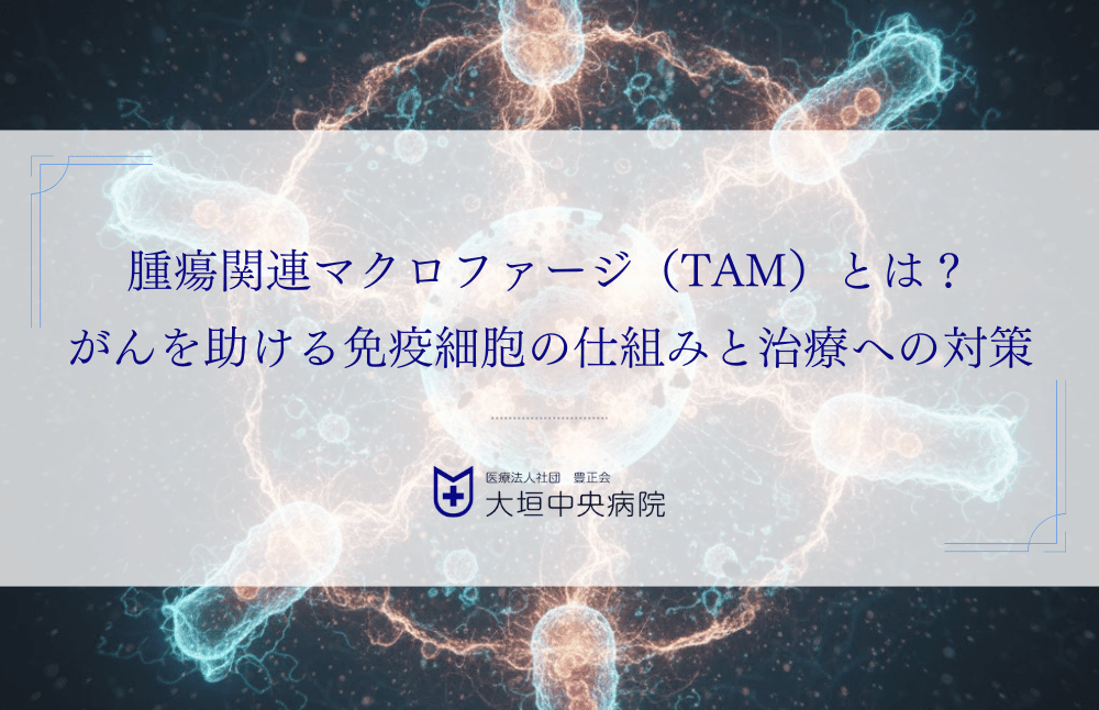 腫瘍関連マクロファージ(TAM)とは?がんを助ける免疫細胞の仕組みと治療への対策