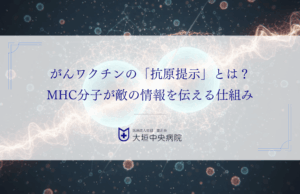 がんワクチンの「抗原提示」とは？MHC分子が敵の情報を伝える仕組み