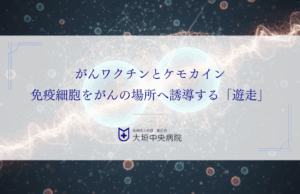がんワクチンとケモカイン｜免疫細胞をがんの場所へ誘導する「遊走」