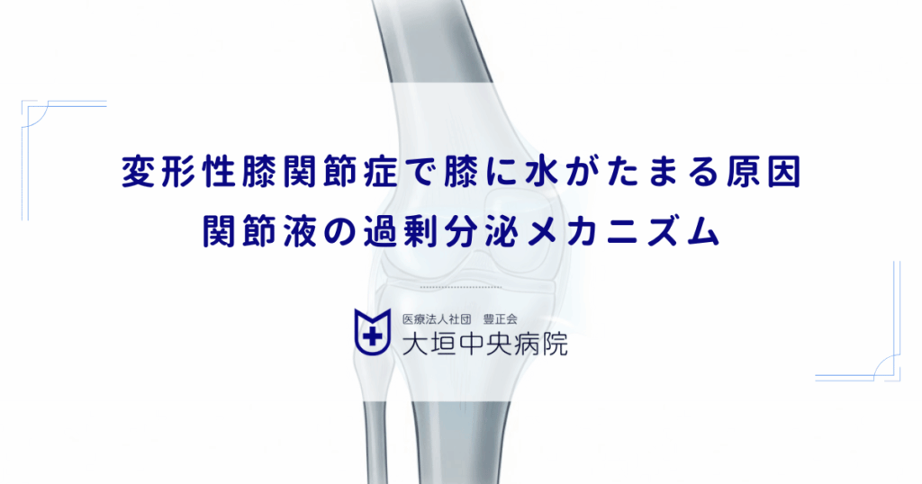 変形性膝関節症で膝に水がたまる原因｜炎症による関節液の過剰分泌メカニズム
