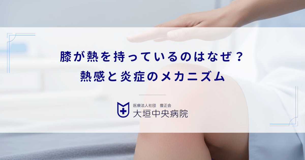 膝が熱を持っているのはなぜ?滑膜炎が引き起こす熱感と炎症のメカニズム