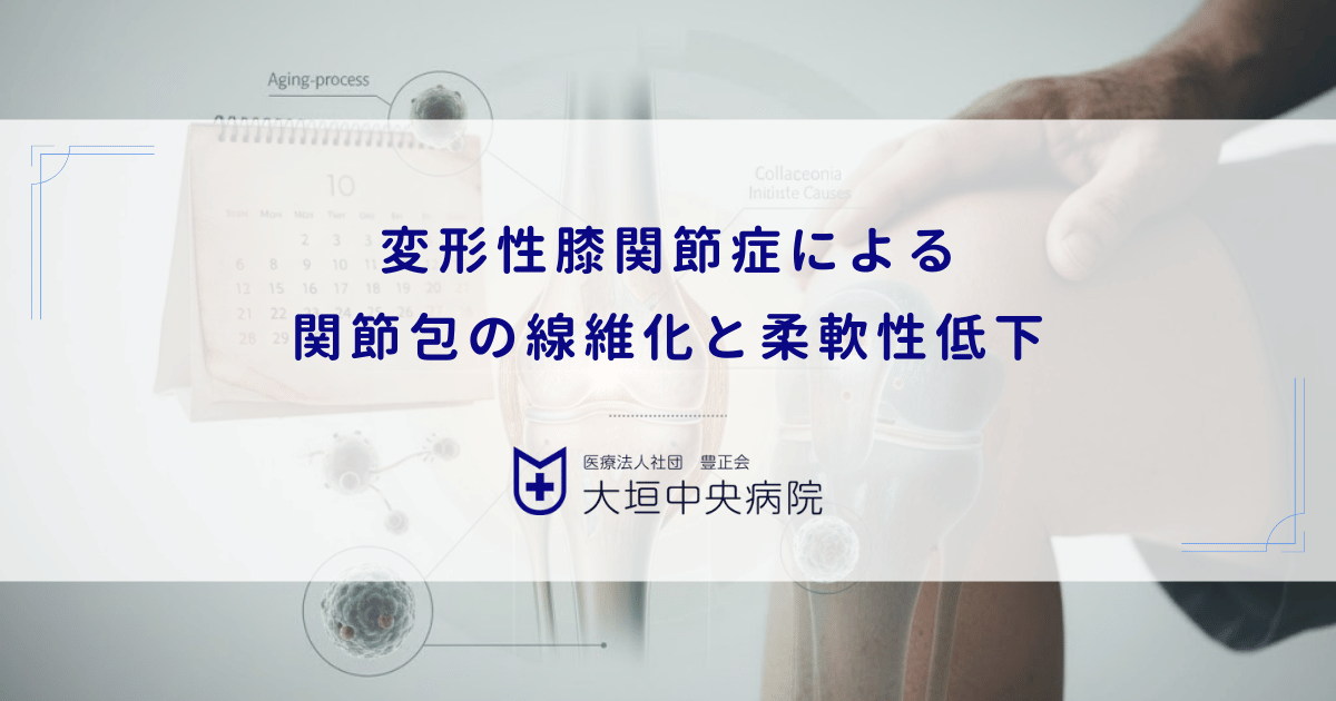 老化で膝が硬くなる原因｜変形性膝関節症による関節包の線維化と柔軟性低下