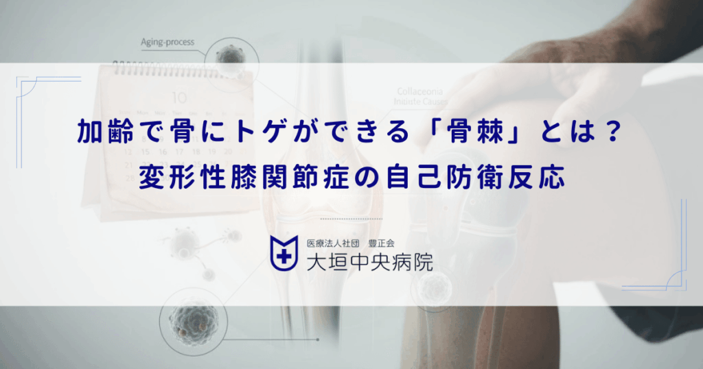 加齢で骨にトゲができる「骨棘（こつきょく）」とは？変形性膝関節症の自己防衛反応