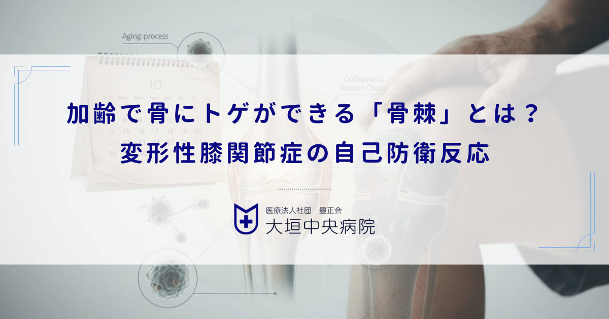 加齢で骨にトゲができる「骨棘（こつきょく）」とは？変形性膝関節症の自己防衛反応