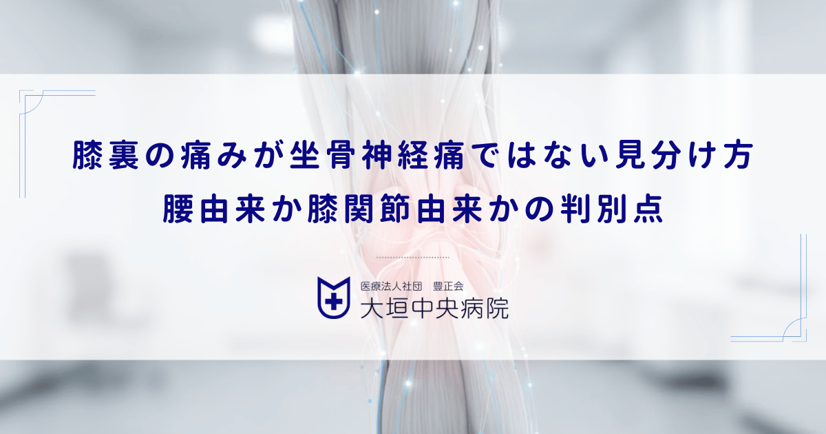 膝裏の痛みが坐骨神経痛ではない見分け方|腰由来か膝関節由来かの判別点