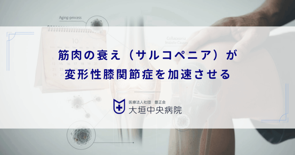 筋肉の衰え（サルコペニア）が変形性膝関節症を加速させる｜高齢者の筋力低下リスク