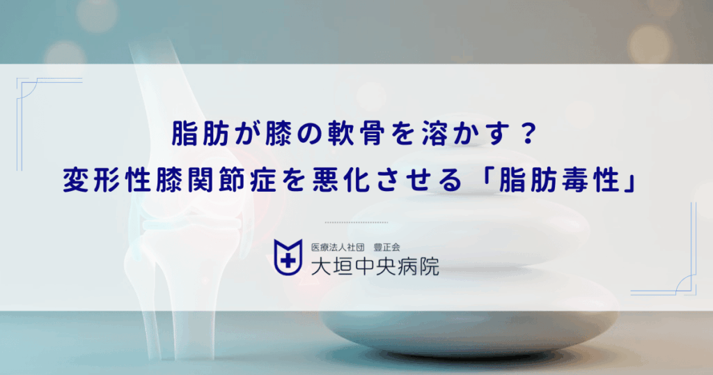 脂肪が膝の軟骨を溶かす？変形性膝関節症を悪化させる「脂肪毒性」の正体