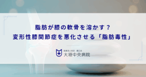 脂肪が膝の軟骨を溶かす？変形性膝関節症を悪化させる「脂肪毒性」の正体