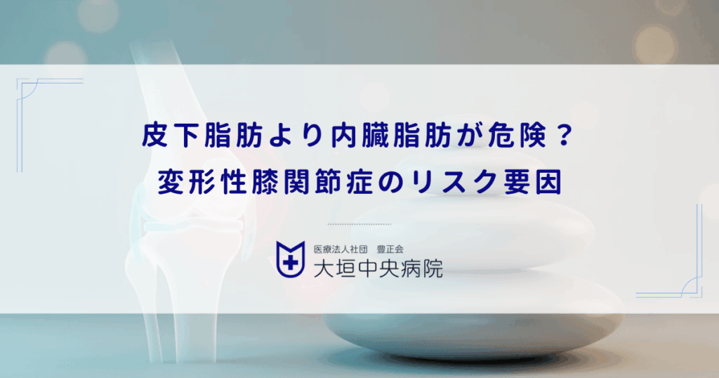 皮下脂肪より内臓脂肪が危険？変形性膝関節症のリスクファクターとしての脂肪の質