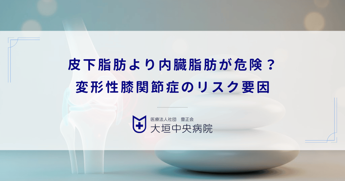 皮下脂肪より内臓脂肪が危険?変形性膝関節症のリスクファクターとしての脂肪の質