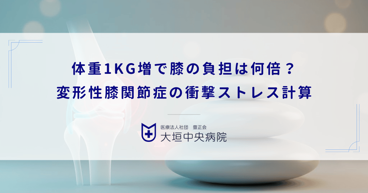 体重1kg増で膝の負担は何倍?肥満が招く変形性膝関節症の衝撃ストレス計算