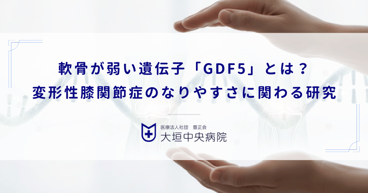 軟骨が弱い遺伝子「GDF5」とは？変形性膝関節症のなりやすさに関わる研究
