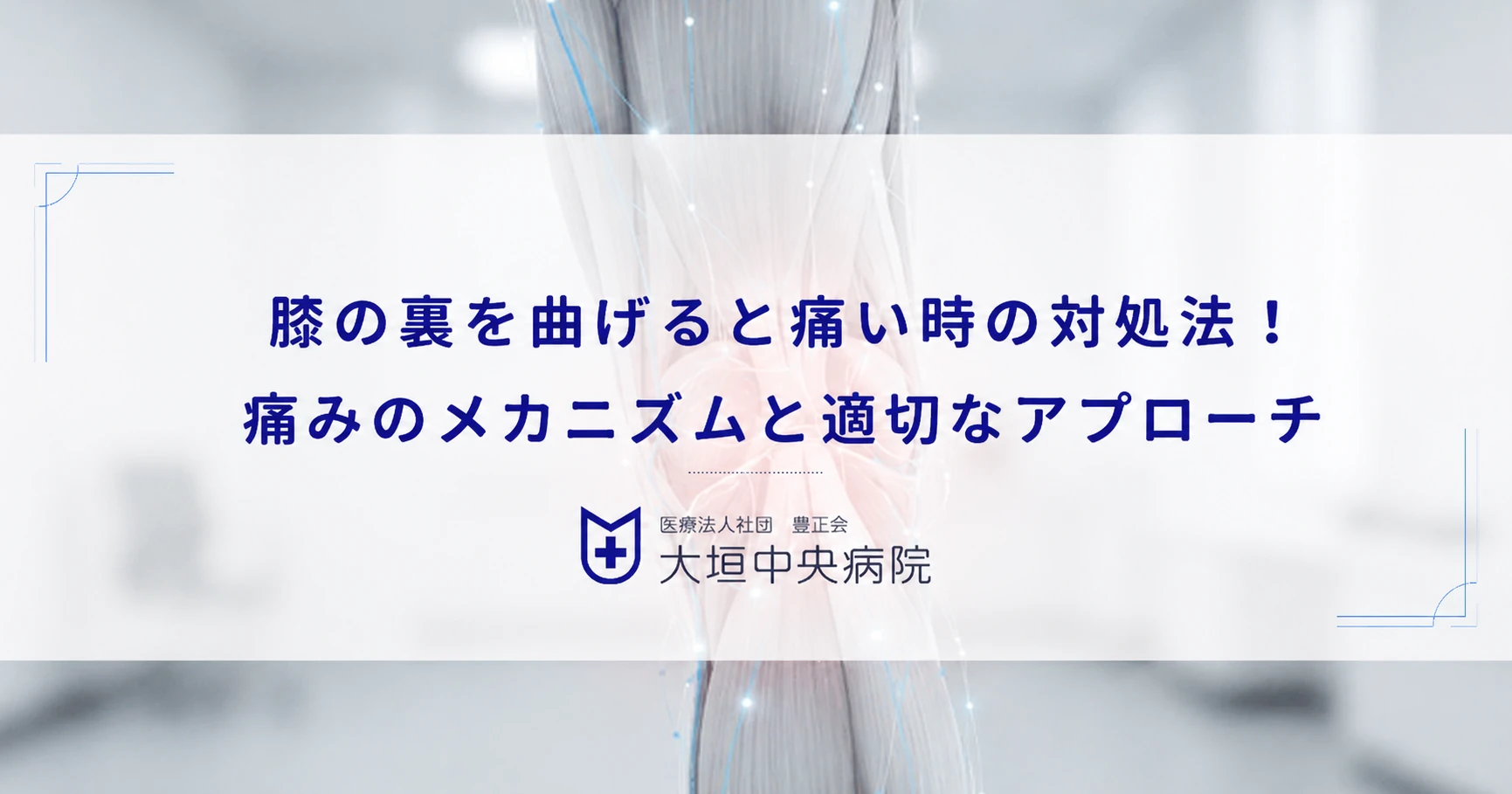 膝の裏を曲げると痛い時の対処法！痛みのメカニズムと適切なアプローチ