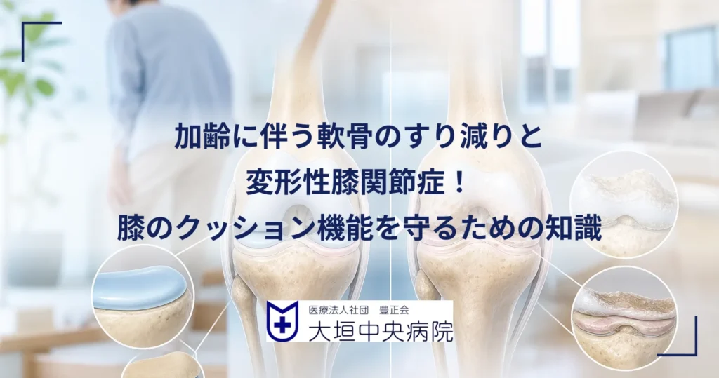 加齢で軟骨がすり減った変形性膝関節症の膝と健康な膝の断面を並べた医療イラスト