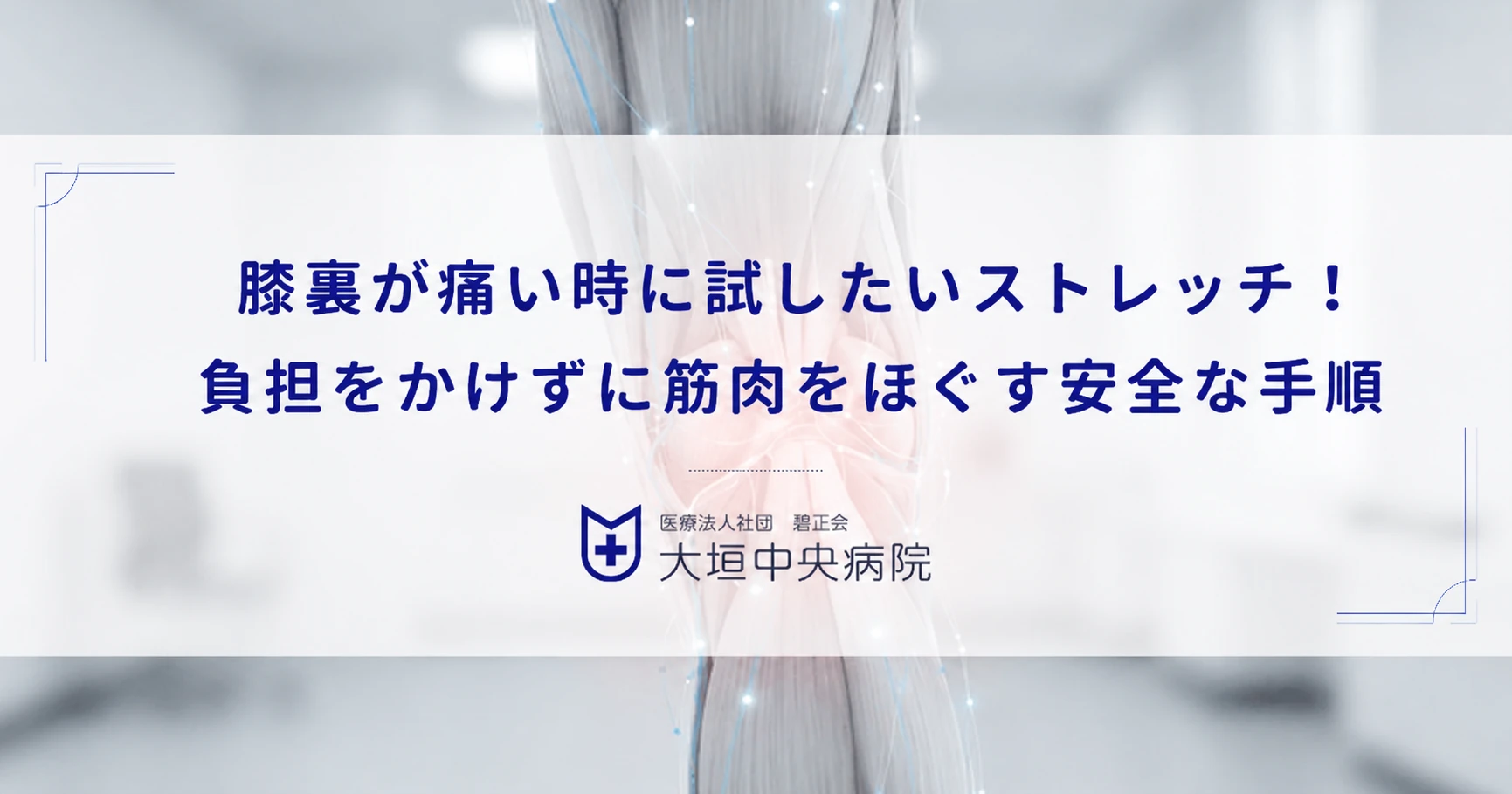 膝裏が痛い時に試したいストレッチ！負担をかけずに筋肉をほぐす安全な手順