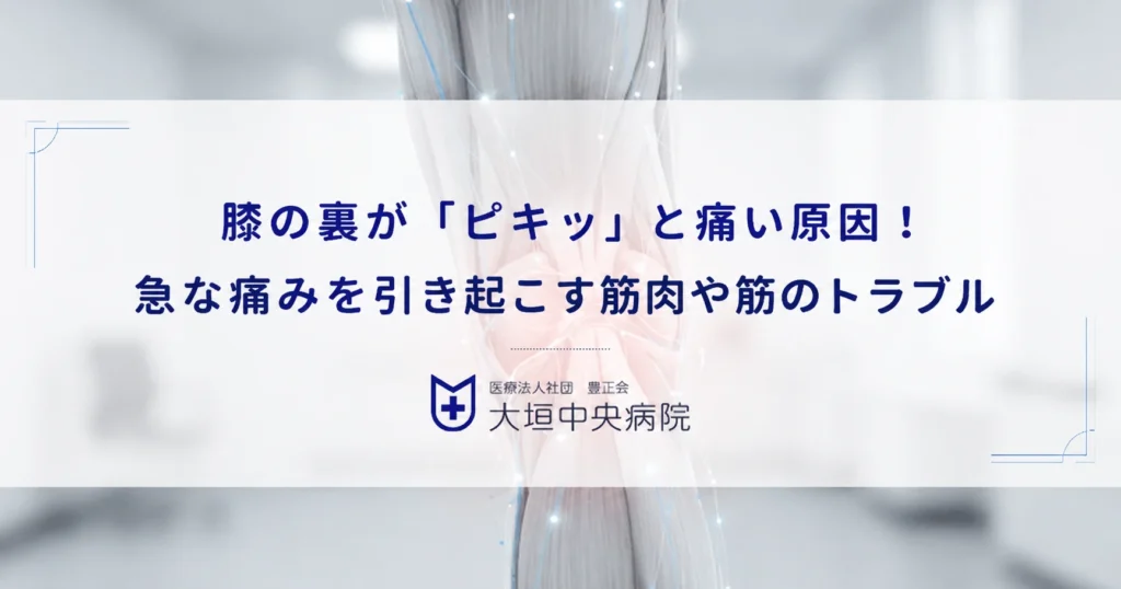 膝の裏が「ピキッ」と痛い原因！急な痛みを引き起こす筋肉や筋のトラブル