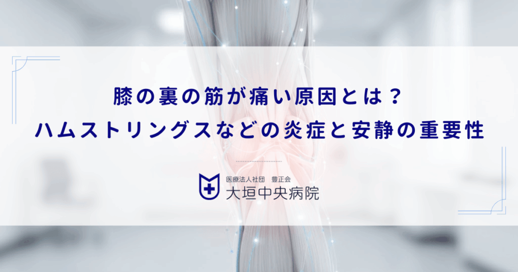 膝の裏の筋が痛い原因とは？ハムストリングスなどの炎症と安静の重要性