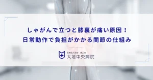 しゃがんで立つと膝裏が痛い原因！日常動作で負担がかかる関節の仕組み