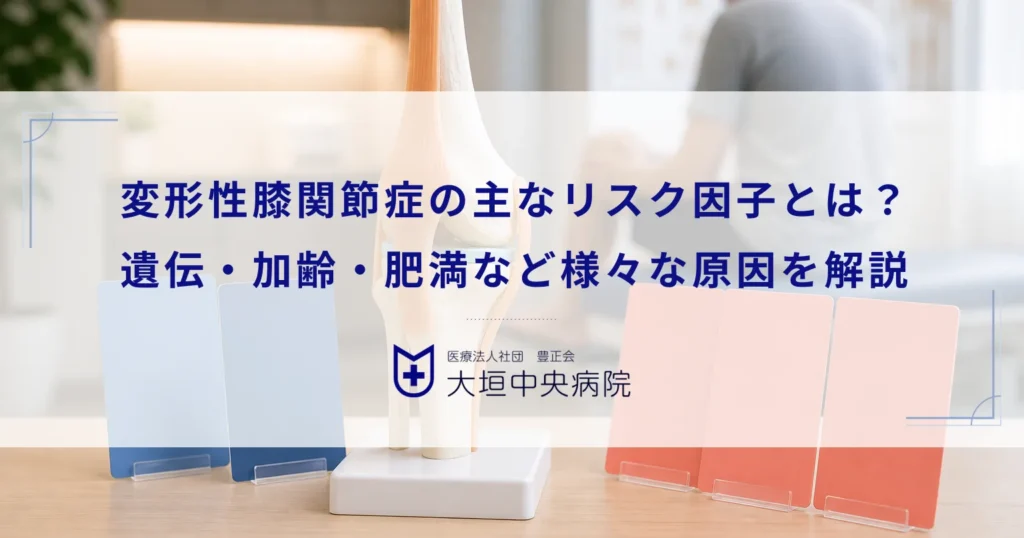 変形性膝関節症の主なリスク因子とは？遺伝・加齢・肥満など様々な原因を解説
