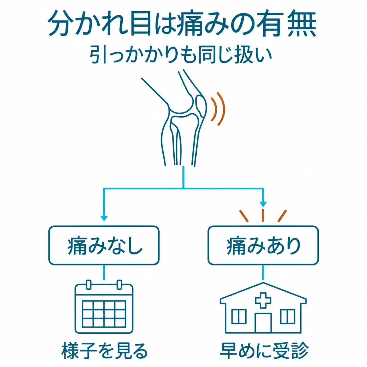 膝が鳴るとき、痛みや引っかかりの有無に応じて様子を見る場合と早めに受診する場合へ分かれる判断図