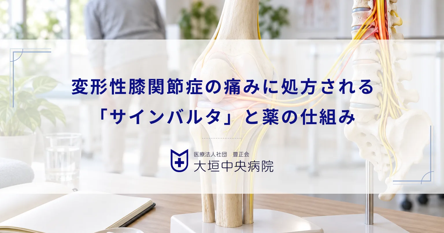 変形性膝関節症の痛みに処方される「サインバルタ」とは?慢性痛に対する薬の仕組み