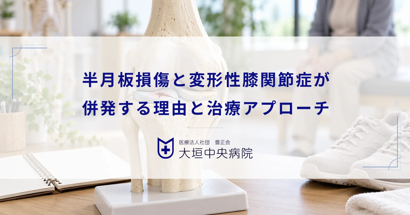 半月板損傷と変形性膝関節症が併発する理由！関係性の深さと複合的な治療アプローチ