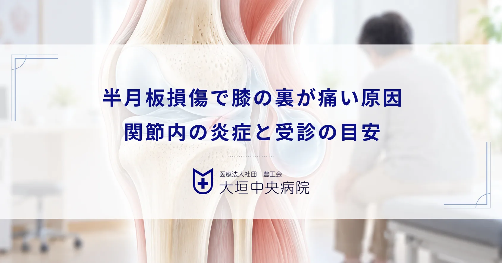半月板損傷で膝の裏が痛い原因とは？関節内の炎症が引き起こす違和感と受診目安