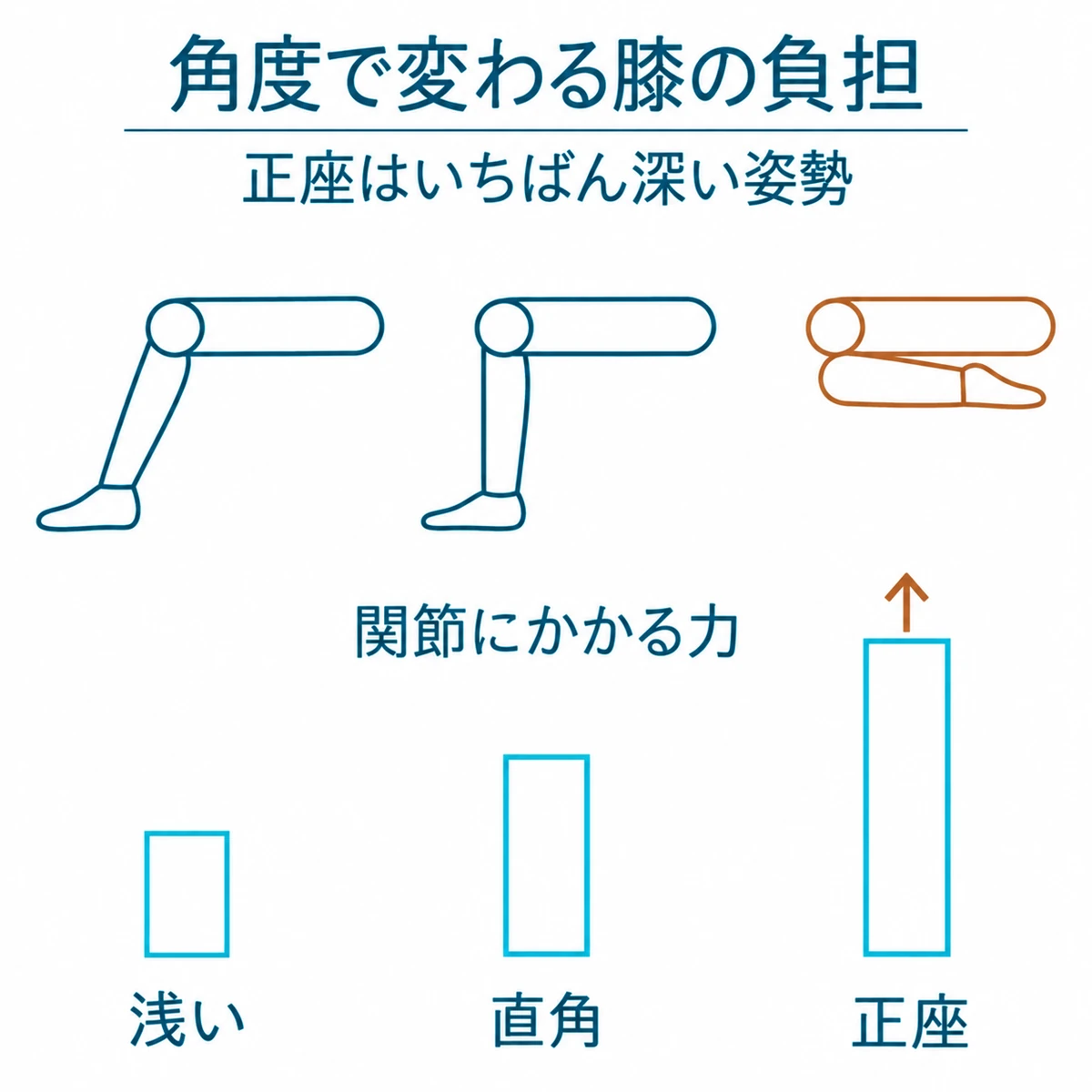 1つの膝からすねを3段階の角度で重ね、関節にかかる力の増加を棒の高さで比べた図