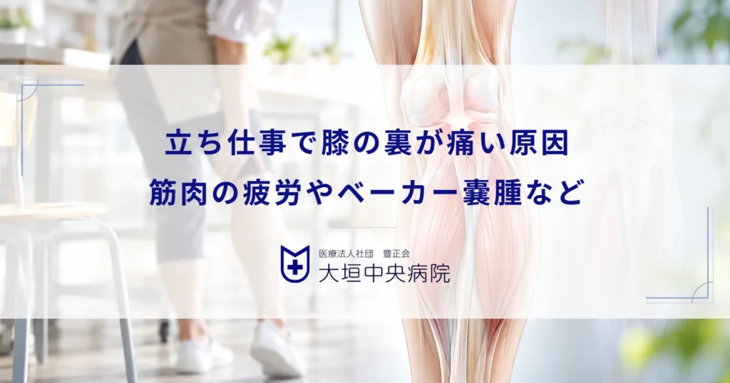 立ち仕事で膝の裏が痛い原因！筋肉の疲労やベーカー嚢腫など考えられる疾患