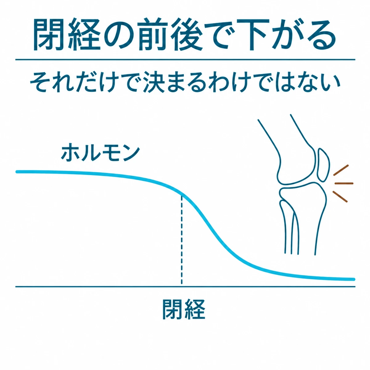 閉経前後の女性ホルモン量の低下と膝の変化との関わりを描いた曲線図