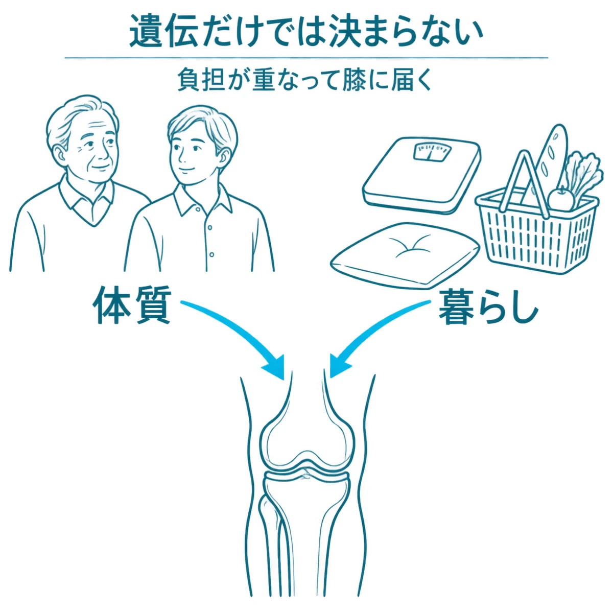 家族で似る体質と暮らしの負担が二方向から膝に重なる関係を表した図