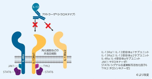 アドトラーザ