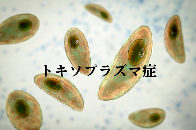 トキソプラズマ症検査に関連するリスクは何ですか?