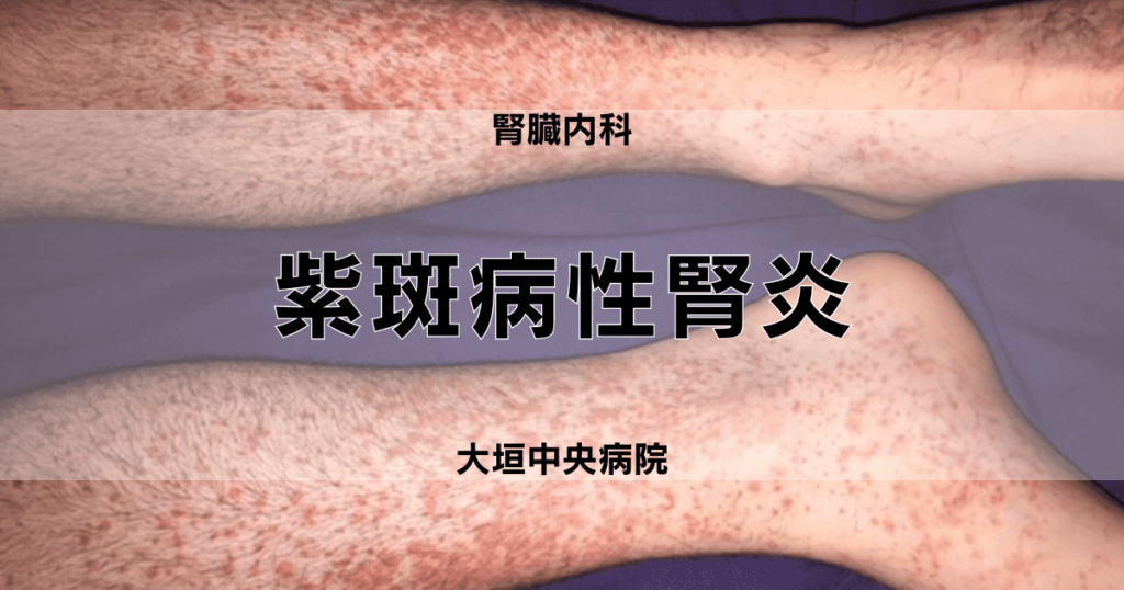 紫斑病性腎炎