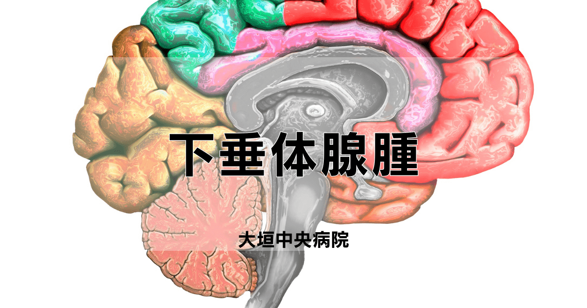 黒澤一弘（かずひろ）解剖学IT教育・指圧師・ラダック on X