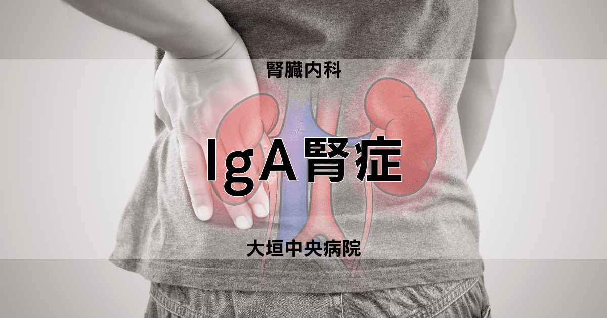 IgA腎症 | 医療法人社団豊正会 大垣中央病院