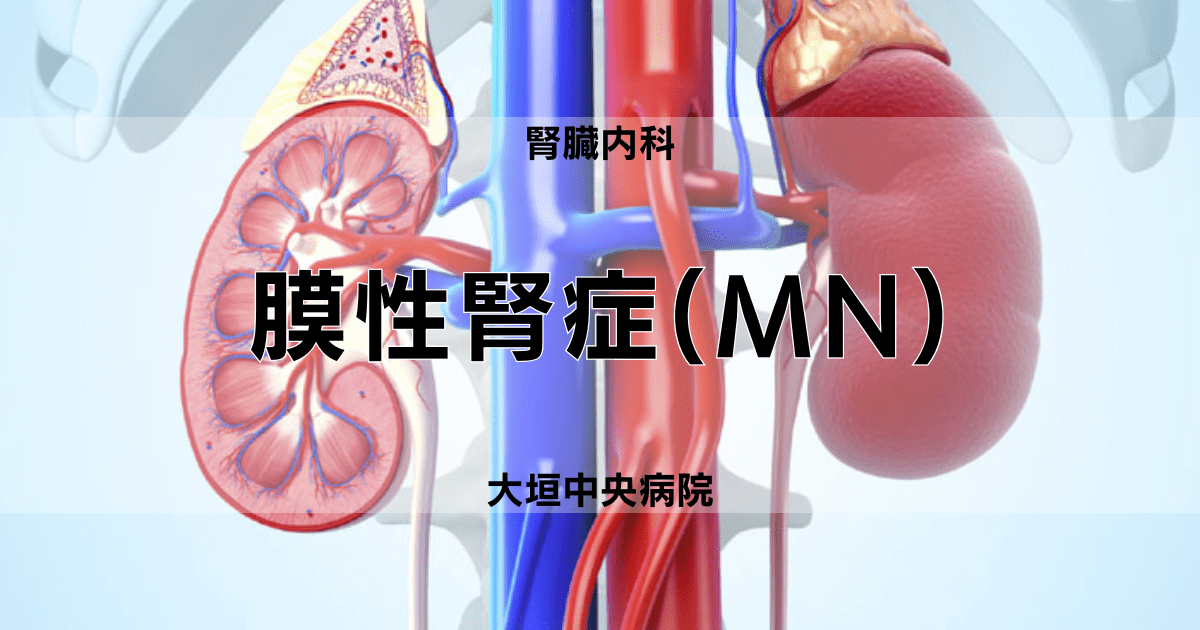 膜性腎症（MN)