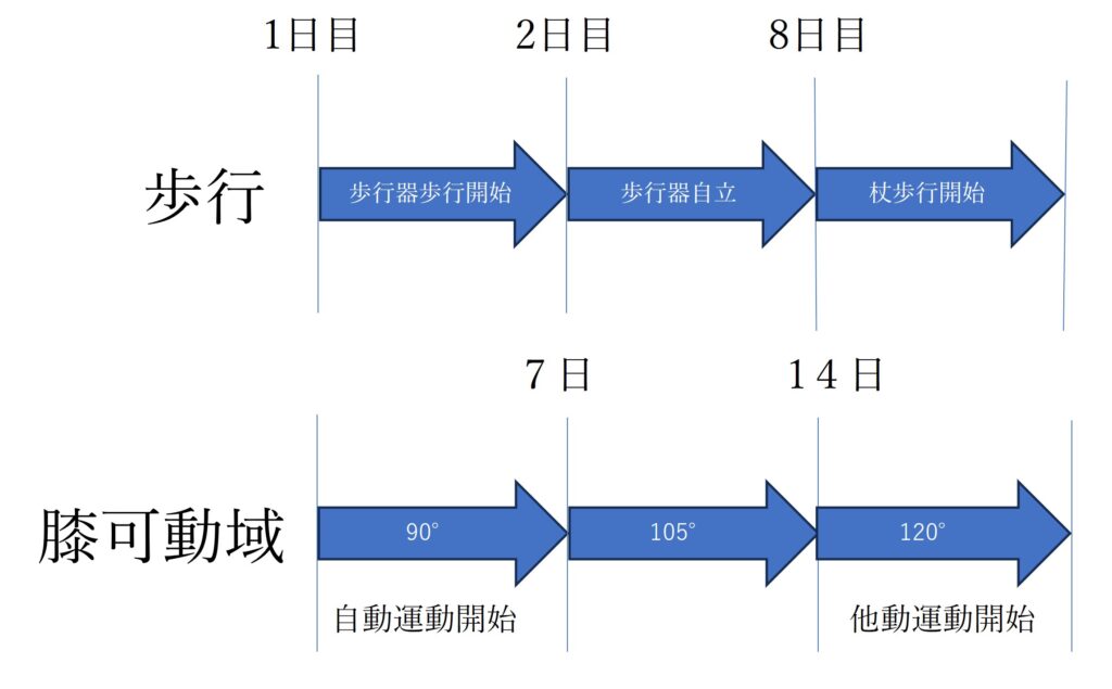 当院TKA後の歩行・膝可動域プロトコル