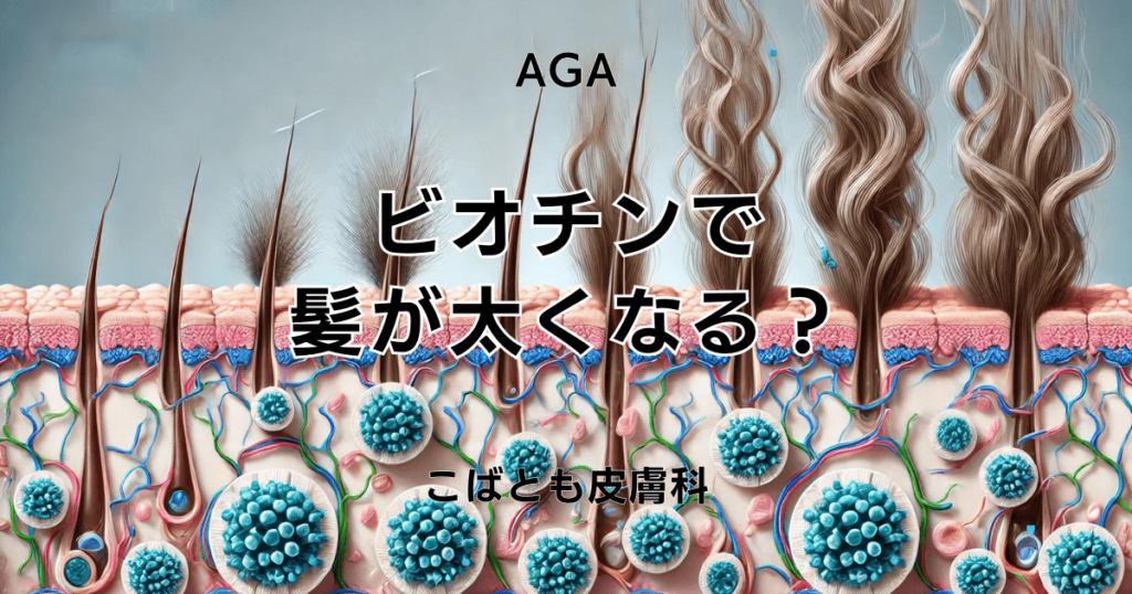 ビオチンで髪が太くなる？日常での取り入れ方と効果的な摂取タイミング