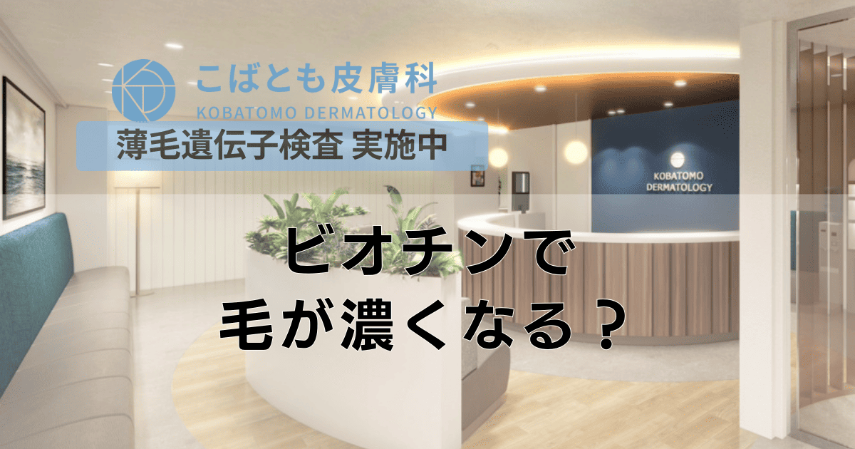 ビオチン摂取で毛が濃くなる？