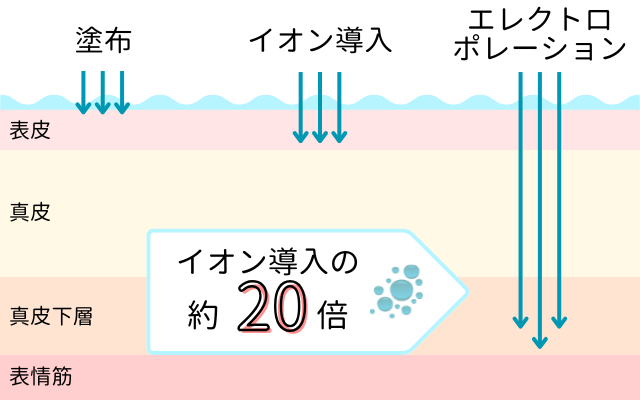 エレクトロポレーションとは