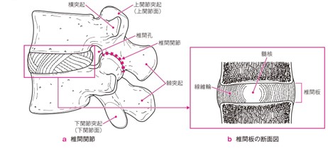 図２