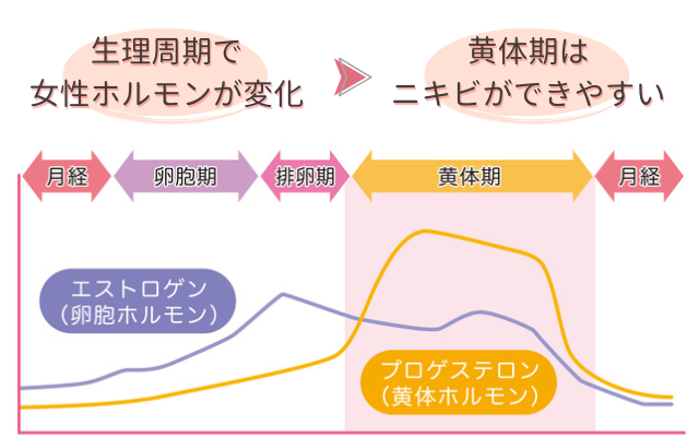 ニキビと生理周期の関係