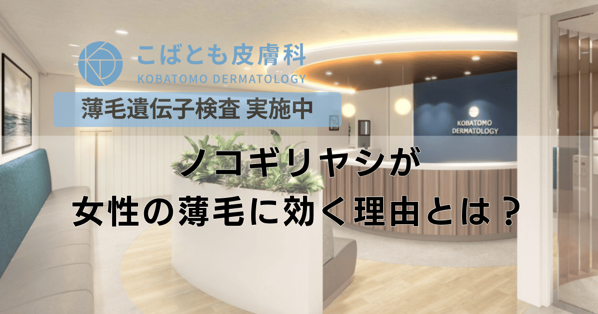 ノコギリヤシが女性の薄毛に効く理由とは？作用と効果の科学的根拠