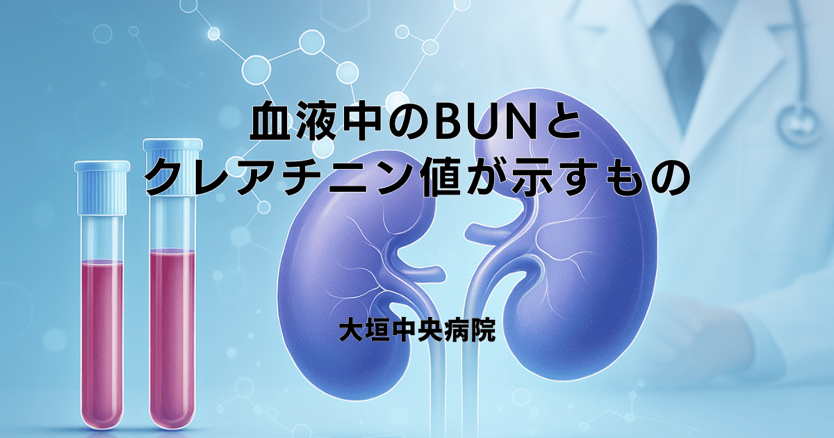 血液中のBUNとクレアチニン値が示すもの｜腎機能検査の重要性