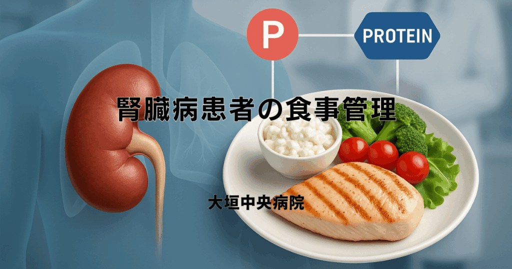 腎臓病患者の食事管理 - たんぱく質とリンの摂取基準
