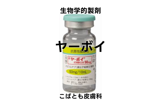 イピリムマブ（ヤーボイ）