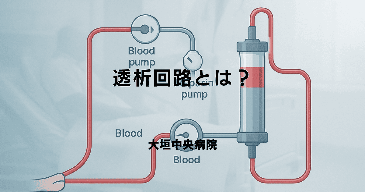 透析回路とは？血液が循環する仕組みと各部の名称を図で解説