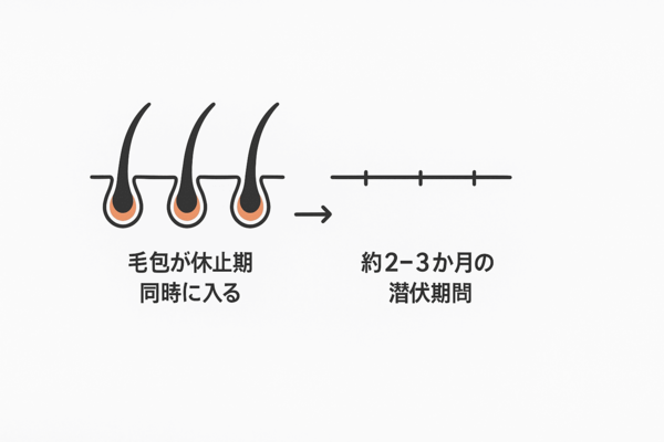 休止期脱毛症の発症と進行